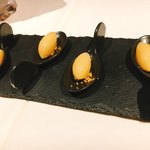 コシモ・プリュス - 