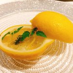 コシモ・プリュス - 