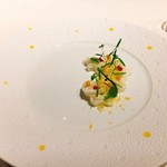 コシモ・プリュス - 