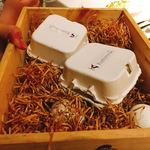 コシモ・プリュス - 