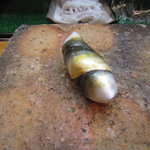 日本橋橘町　都寿司 - 新子