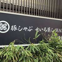 豚しゃぶ せいろ蒸し 豚匠 なんば邸 - 