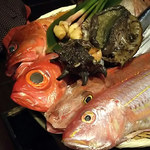 Kaisen Dashi Izakaya Awajishima No Megumi Dashiya - 淡路などから届く鮮魚のざる見せ
