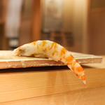 東麻布 天本 - 車海老