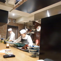 coci - 