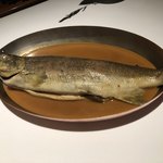 ブレストンコート ユカワタン - 