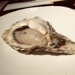 品川 牡蠣入レ時 - 