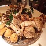 アピシウス - 立派なきのこ