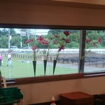 マリアージュ ドゥ ファリーヌ - 