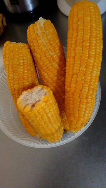 小田桐農園 - 岩木町その他（その他）の写真