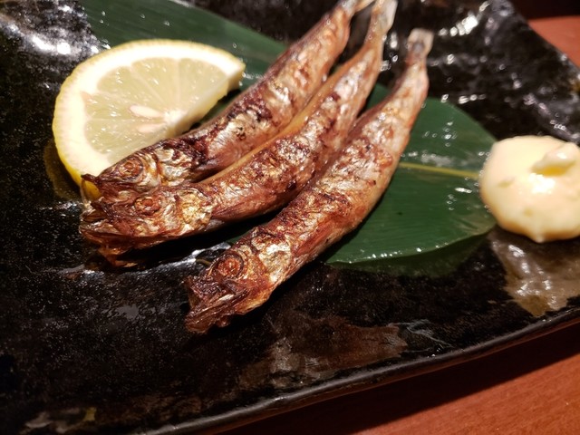 さめ八 さめはち 本八戸 居酒屋 食べログ