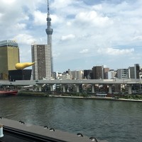 浅草むぎとろ 本店 - 