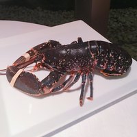 中国飯店 琥珀宮 - 