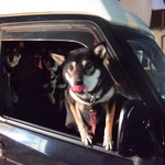 ピッザピッザピッザ - 