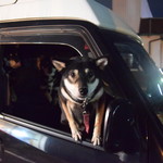 ピッザピッザピッザ - 