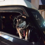 ピッザピッザピッザ - 