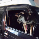 ピッザピッザピッザ - 