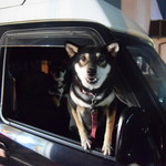 ピッザピッザピッザ - 