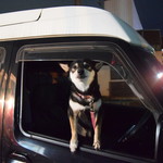 ピッザピッザピッザ - 