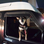 ピッザピッザピッザ - 