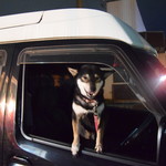 ピッザピッザピッザ - 