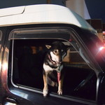 ピッザピッザピッザ - 