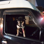 ピッザピッザピッザ - 