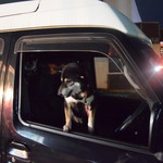 ピッザピッザピッザ - 