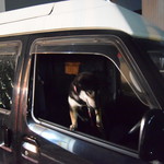 ピッザピッザピッザ - 