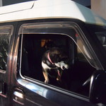 ピッザピッザピッザ - 