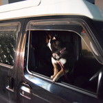 ピッザピッザピッザ - 