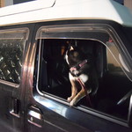 ピッザピッザピッザ - 