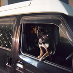 ピッザピッザピッザ - 