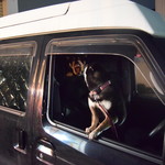 ピッザピッザピッザ - 