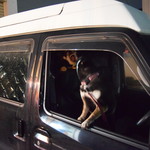 ピッザピッザピッザ - 