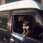 ピッザピッザピッザ - 