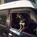 ピッザピッザピッザ - 