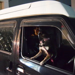 ピッザピッザピッザ - 