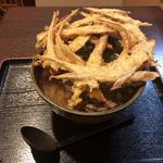 大地のうどん - 肉ごぼう天うどん