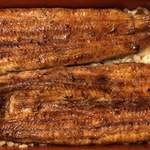 鰻はし本 - 鰻重ろ