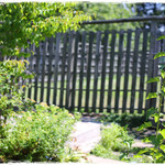 花七曜 - ドッグラン