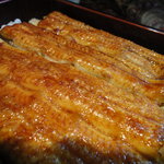 天然うなぎ しま村 - 養殖