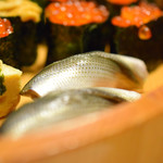 楽座 - コハダちゃん！