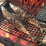 酒場 井倉木材 - 