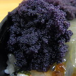 郷土料理 ひろ瀬 - タラバ蟹の外子