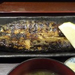 炭火焼食堂 こがね屋 - さんまの開き