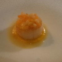 ドミニク・ブシェ トーキョー - 