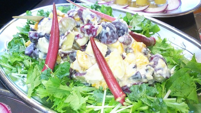 ハレノヒ食堂 ハレノヒショクドウ 西八王子 自然食 食べログ