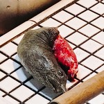 すっぽん きたむら - 