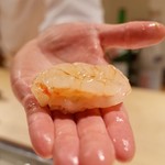 寿しの吉乃 - 牡丹海老